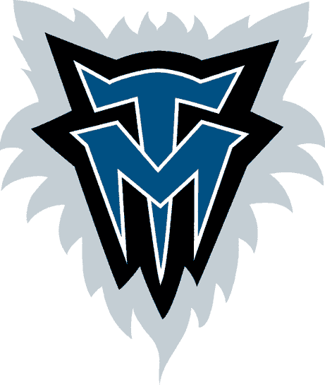 Minnesota Timberwolves 1996-2008 Alternate Logo v2 DIY iron on transfer (heat transfer)